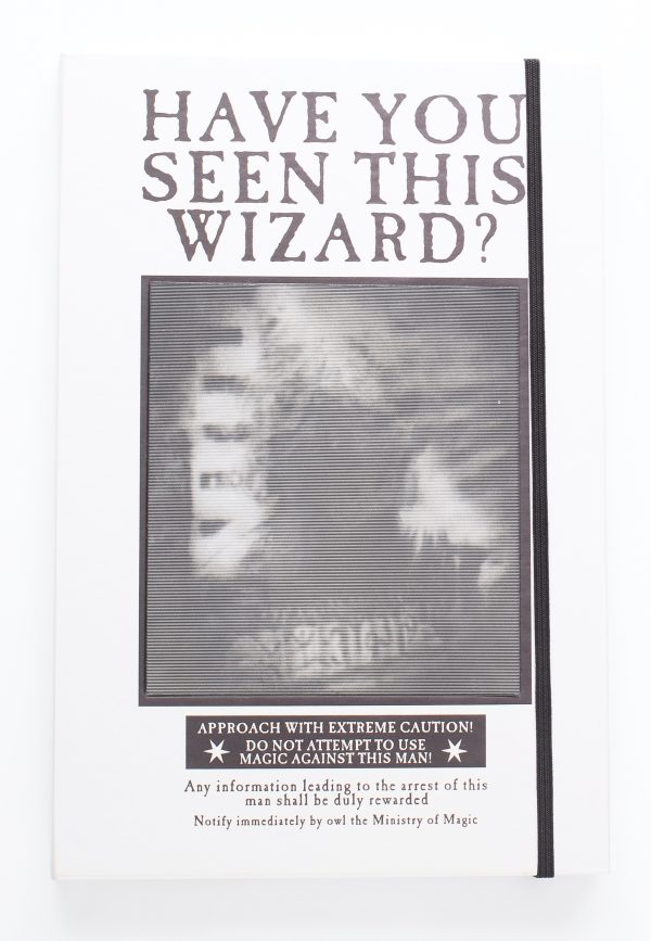 Harry Potter - The Daily Prophet Lenticular - Notebook Hot on Sale