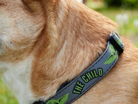 The Mandalorian - The Child - Dog Collar on Sale