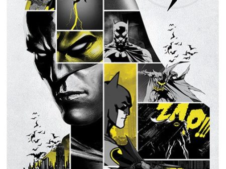 Batman - 80th Anniversary Maxi - Poster Supply